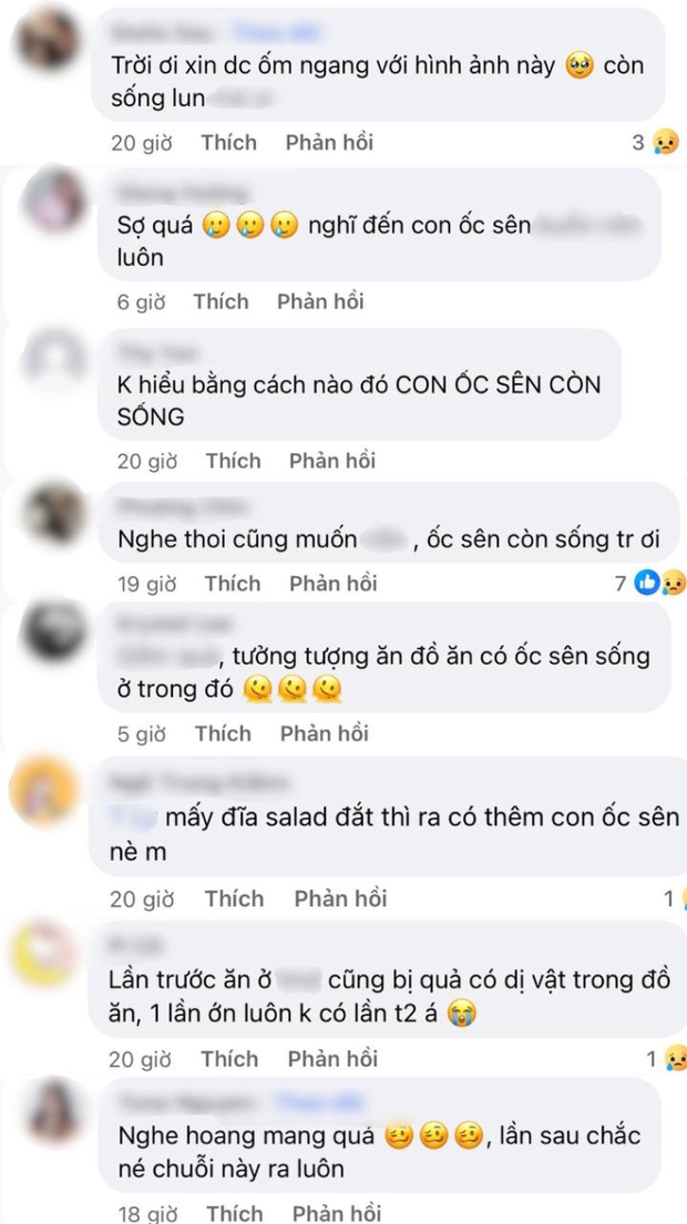 Vào nhà hàng nổi tiếng, cô gái sốc nặng khi phát hiện thứ kỳ lạ trong salad: là đệ nhất ẩm thực Pháp nhưng ở Việt Nam thì... lạ lắm - Ảnh 4.