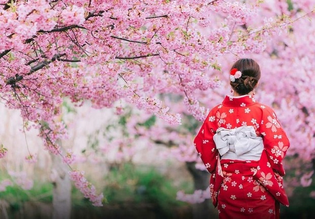 Hoa anh đào ở Nhật Bản bung nở sớm bất thường, du khách thích thú nhưng là dấu hiệu tiêu cực không thể coi nhẹ - Ảnh 2.