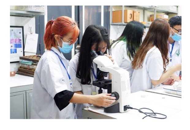 Trường Đại học Dược Hà Nội tạm dừng tuyển sinh chương trình chất lượng cao - Ảnh 1.