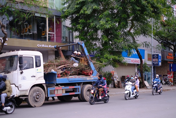 Tiểu thương hạ giá sốc để thu hồi vốn, người dân chen chân đi mua cây cảnh giá rẻ chiều 30 Tết - Ảnh 17.