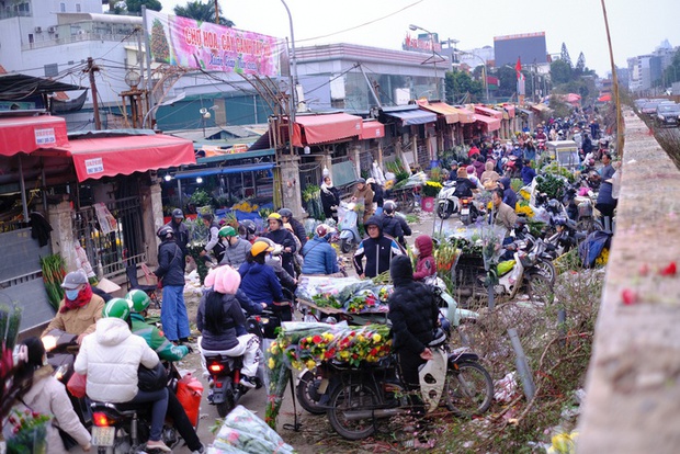 Tiểu thương hạ giá sốc để thu hồi vốn, người dân chen chân đi mua cây cảnh giá rẻ chiều 30 Tết - Ảnh 3.