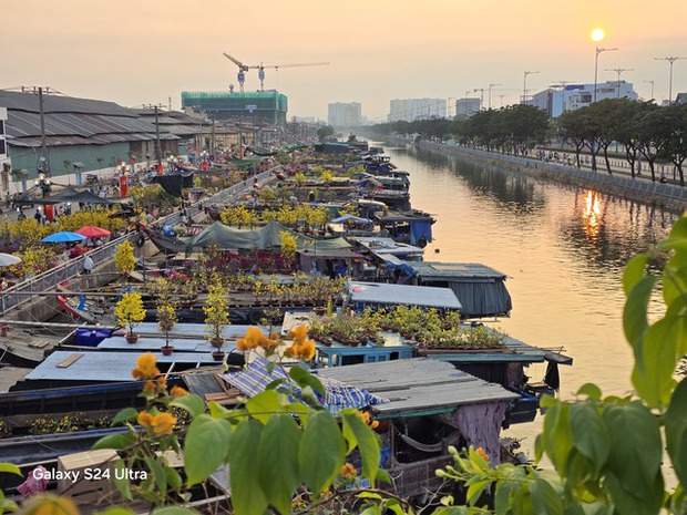 Rực rỡ sắc màu hoa xuân Trên bến, dưới thuyền ngày 30 Tết ở Sài Gòn qua ống kính Galaxy S24 Ultra - Ảnh 3.