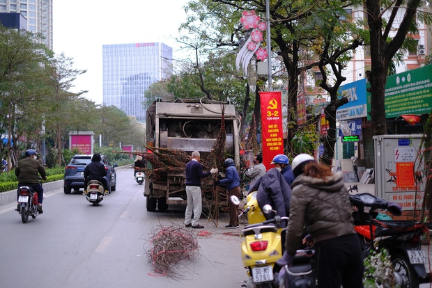 Tiểu thương hạ giá sốc để thu hồi vốn, người dân chen chân đi mua cây cảnh giá rẻ chiều 30 Tết - Ảnh 15.