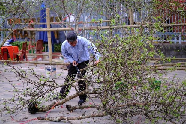 Tiểu thương hạ giá sốc để thu hồi vốn, người dân chen chân đi mua cây cảnh giá rẻ chiều 30 Tết - Ảnh 12.