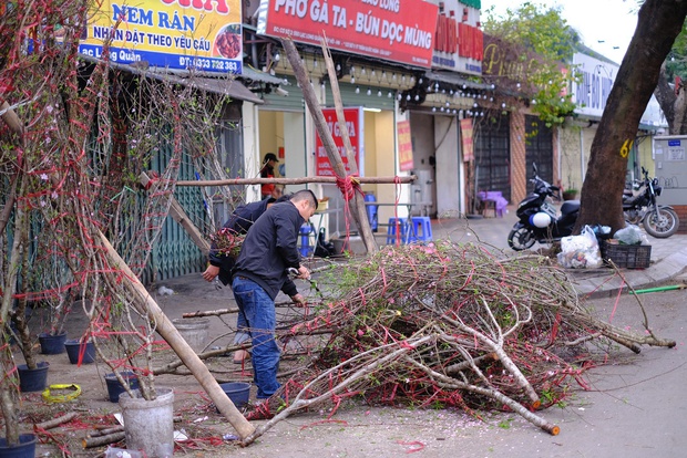 Tiểu thương hạ giá sốc để thu hồi vốn, người dân chen chân đi mua cây cảnh giá rẻ chiều 30 Tết - Ảnh 10.