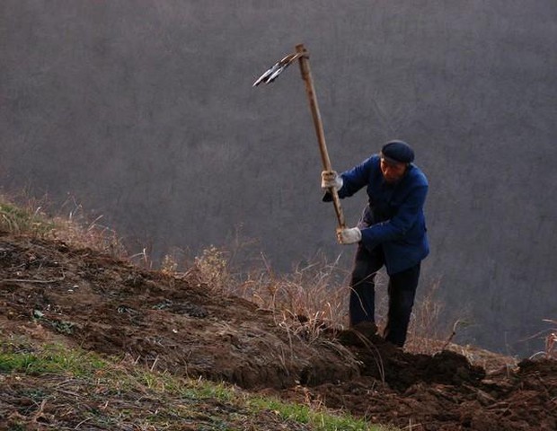 Lão nông đào trúng chiếc thìa liền mang về xúc cám cho lợn, trưởng thôn nhìn thấy thì hô hoán: Phải báo chính quyền ngay! - Ảnh 1.