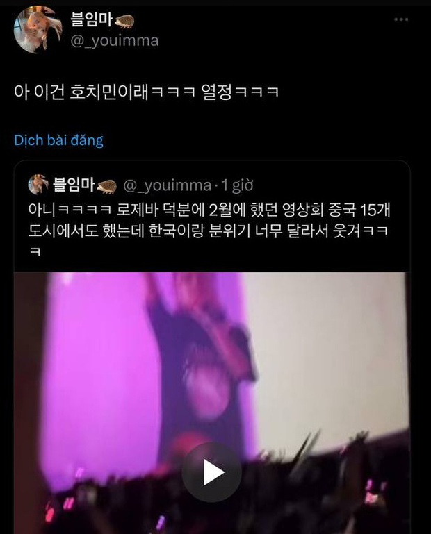 Fan Việt Cuồng Nhiệt