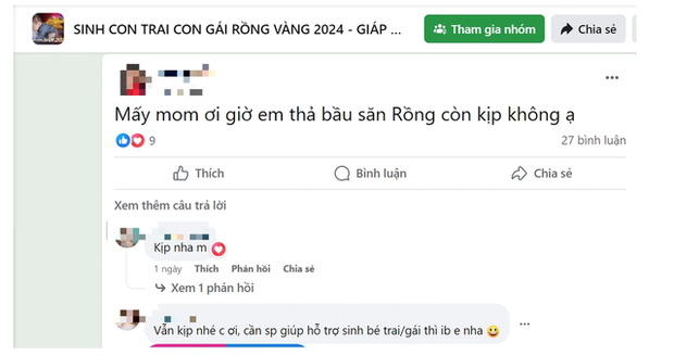 Bí Mật Săn 'Rồng Vàng'