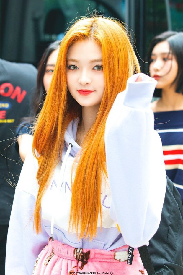Somyi Tại Tòa