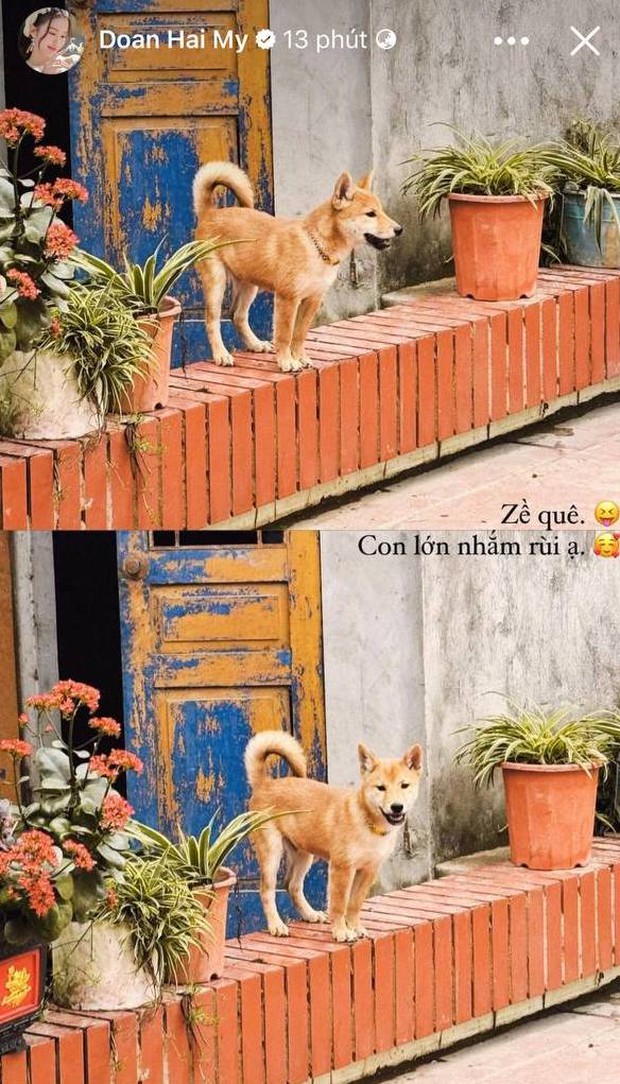 Doãn Hải My - Bụng bầu đáng yêu