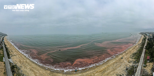Nước biển ở Hà Tĩnh có màu đỏ như máu - Ảnh 2.