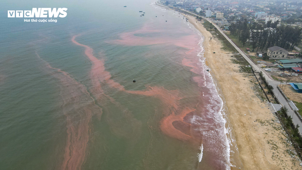Nước biển ở Hà Tĩnh có màu đỏ như máu - Ảnh 9.