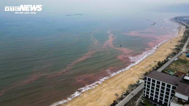 Nước biển ở Hà Tĩnh có màu đỏ như máu - Ảnh 7.
