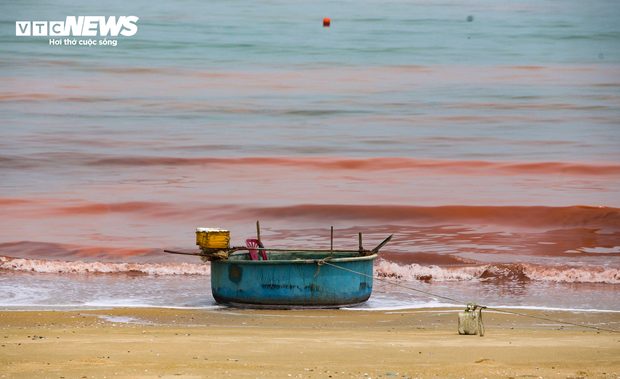 Nước biển ở Hà Tĩnh có màu đỏ như máu - Ảnh 5.