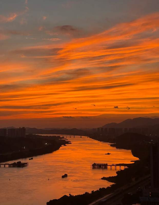 Chi gần 8 tỷ để sở hữu căn nhà ngắm view hoàng hôn cực đỉnh, dành hẳn một phòng cho mèo - Ảnh 9. Chi gần 8 tỷ để sở hữu căn nhà ngắm view hoàng hôn cực đỉnh, dành hẳn một phòng cho mèo - Ảnh 9.