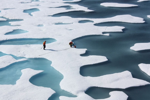 Bắc Băng Dương có thể không có băng vào những năm 2030 - Ảnh 1.