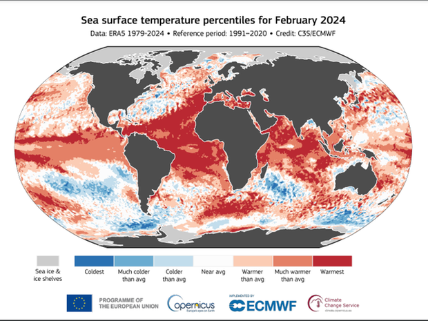 Nhiệt độ các đại dương trên thế giới tăng lên mức cao nhất trong lịch sử - Ảnh 3.