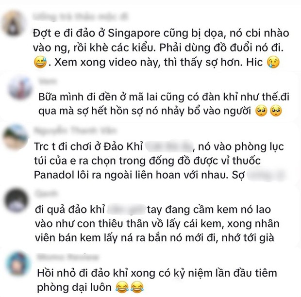 Nữ du khách Việt hốt hoảng vì bị khỉ tấn công tại Bali, dân mạng lập tức đồng cảm vì gặp phải chuyện tương tự - Ảnh 4.