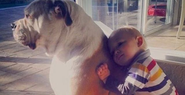 Image result for THÚ CƯNG GIỜ LÀ ĐỨA BẠN THÂN NHẤT