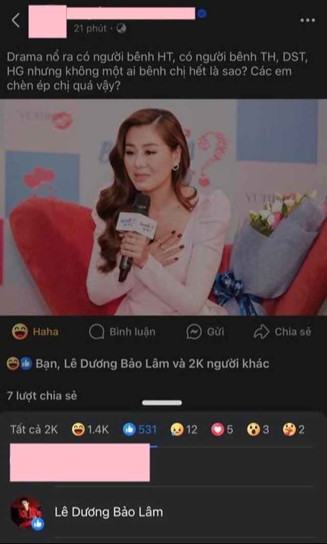 Lê Dương Bảo Lâm lên tiếng vụ thả like bài đăng "cà khịa" lùm xùm Nam Thư- Ảnh 2.