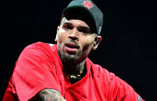 Chris Brown bị kiện vì cáo buộc hành hung khán giả- Ảnh 1.