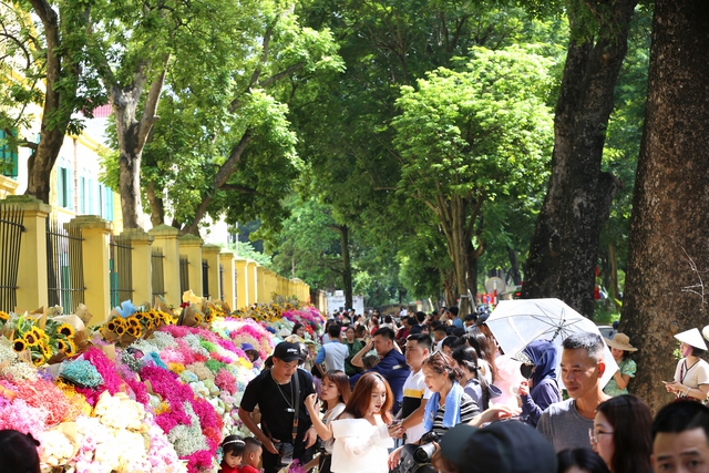 Hà Nội: Đông nghịt "nàng thơ" chen chân chụp ảnh dưới ánh nắng mùa thu trên phố Phan Đình Phùng, Hoàng Diệu- Ảnh 1.