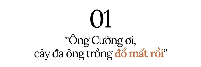 Chuyện tình của cụ ông trồng cây đa với người vợ đẹp nhất phố Phùng Hưng: 86 tuổi, vẫn yêu đến tận cùng chữ yêu!- Ảnh 2.