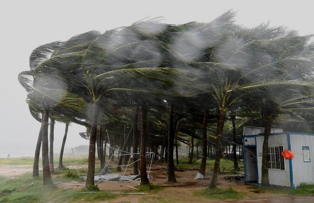 Chuyên gia nêu lý do Yagi tăng cấp siêu bão chỉ trong 24h, cảnh báo hình thái bão khi vào Vịnh Bắc Bộ- Ảnh 1.