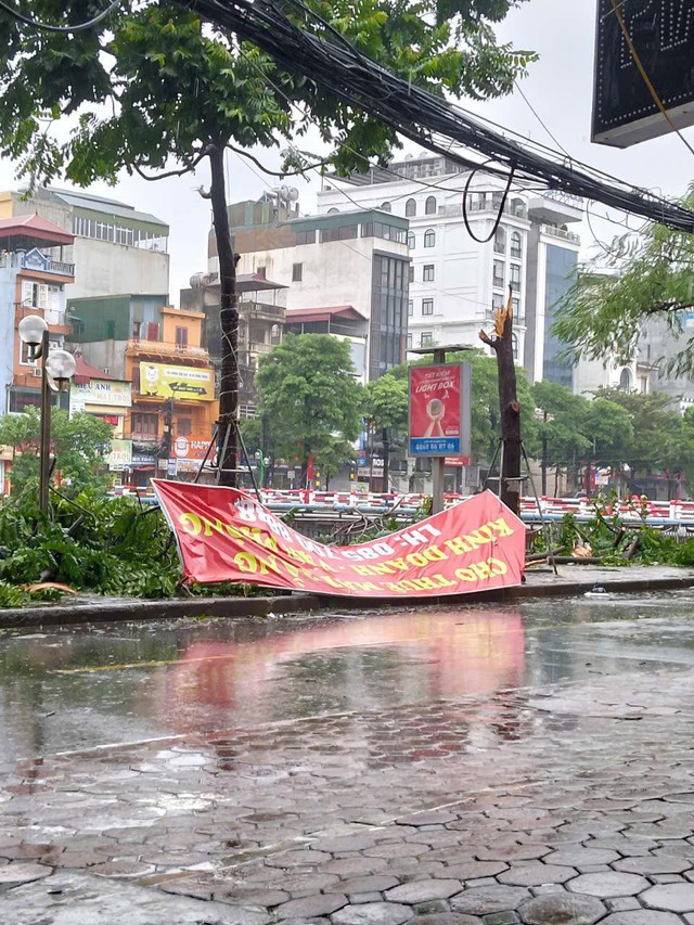 Toàn cảnh Hà Nội ngay trước khi bão YAGI đổ bộ: Hàng loạt cây xanh bật gốc chắn ngang đường, nhiều bảng biển bị hất tung- Ảnh 16.