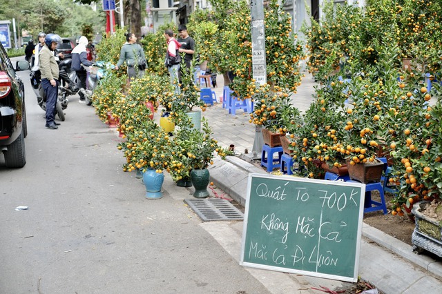 Tiểu thương "chạy hàng" trước thềm giao thừa, cây cảnh giá rẻ phủ khắp Hà Nội chiều 29 Tết- Ảnh 15.