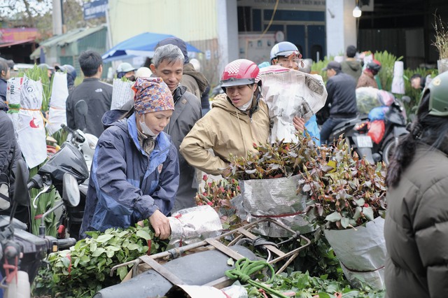 Tiểu thương "chạy hàng" trước thềm giao thừa, cây cảnh giá rẻ phủ khắp Hà Nội chiều 29 Tết- Ảnh 8.