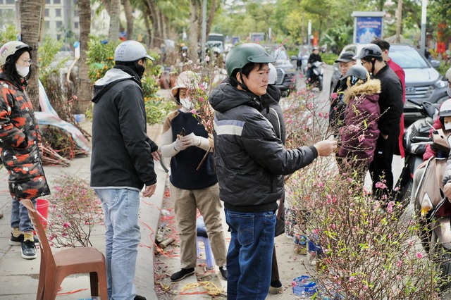 Tiểu thương "chạy hàng" trước thềm giao thừa, cây cảnh giá rẻ phủ khắp Hà Nội chiều 29 Tết- Ảnh 10.