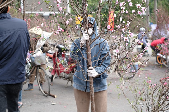 Tiểu thương "chạy hàng" trước thềm giao thừa, cây cảnh giá rẻ phủ khắp Hà Nội chiều 29 Tết- Ảnh 23.