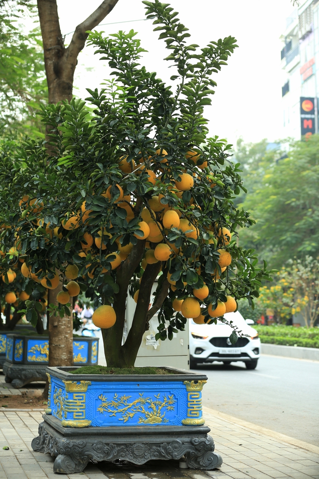 Không khí Tết tràn ngập phố phường Hà Nội: Ảnh hưởng của bão nhưng 1 điều vẫn không hề thay đổi với năm trước- Ảnh 15.