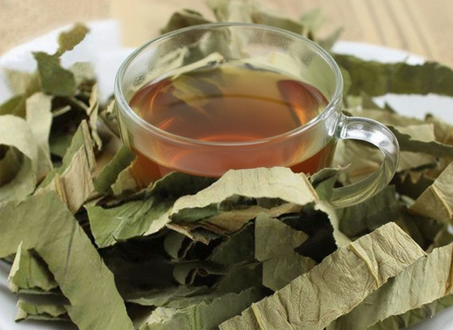 1 thứ trên cây mướp người biết dùng là "báu vật" cho gan, mắt và da NHƯNG không biết thì coi như... đồ bỏ- Ảnh 1.