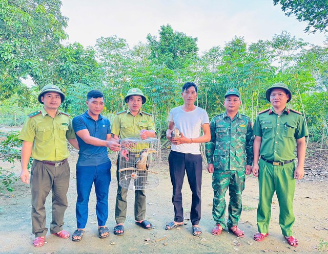 Chim lạ bay vào nhà, người dân Quảng Trị lập tức báo chính quyền - hóa ra là “báu vật” của rừng xanh- Ảnh 1.