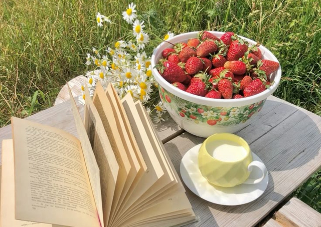 5 loại trái cây vừa “bơm” collagen lại là “kẻ thù” của ung thư vú: Chị em nên chăm ăn- Ảnh 3. 5 loại trái cây vừa “bơm” collagen lại là “kẻ thù” của ung thư vú: Chị em nên chăm ăn- Ảnh 3.