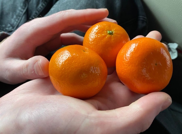 5 loại trái cây vừa “bơm” collagen lại là “kẻ thù” của ung thư vú: Chị em nên chăm ăn- Ảnh 1. 5 loại trái cây vừa “bơm” collagen lại là “kẻ thù” của ung thư vú: Chị em nên chăm ăn- Ảnh 1.