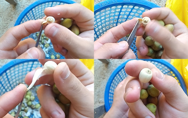 Thứ hạt người Việt thường dùng để nấu chè, ai ngờ lại là “báu vật” cho tim mạch, tiết niệu, cân bằng nội tiết- Ảnh 1.
