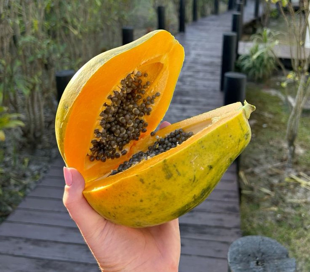 6 loại trái cây ăn đến đâu kích thích cơ thể sản sinh collagen đến đấy: Đẹp da, tốt xương, bảo vệ tim mạch- Ảnh 3.