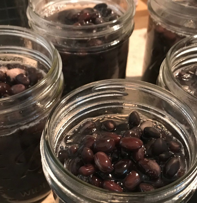 Mang 3 thứ cực quen này đi ngâm với giấm, chị em ăn vào dưỡng da, giảm cân, "đóng băng" lão hóa- Ảnh 1. Mang 3 thứ cực quen này đi ngâm với giấm, chị em ăn vào dưỡng da, giảm cân, "đóng băng" lão hóa- Ảnh 1.