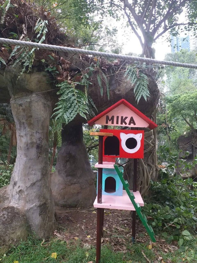 "Trưởng chuồng" mèo Mika nổi tiếng ở Thảo Cầm Viên cầm 80 triệu đi từ thiện: Sĩ nhất cái sở thú!- Ảnh 10.