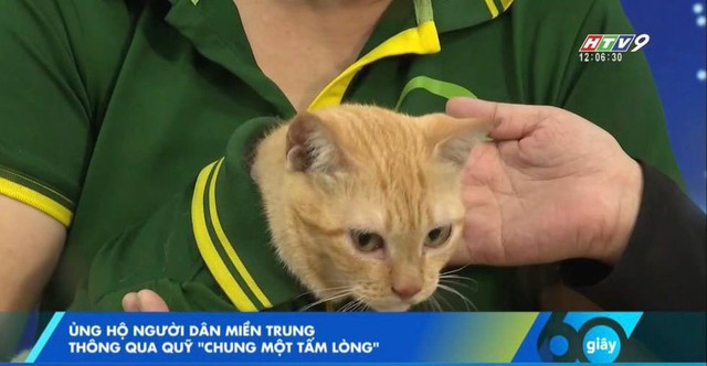 "Trưởng chuồng" mèo Mika nổi tiếng ở Thảo Cầm Viên cầm 80 triệu đi từ thiện: Sĩ nhất cái sở thú!- Ảnh 5.