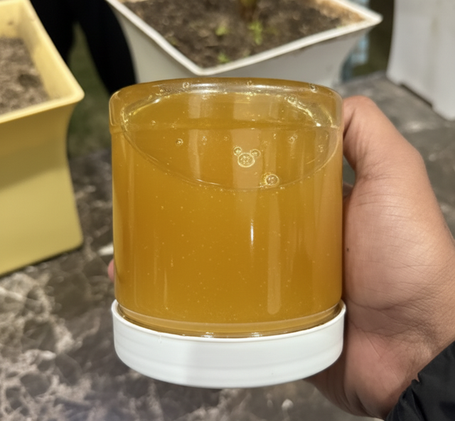 Tại sao phải lật ngược lọ mật ong khi mua? 5 mẹo "bắt bài" mật ong giả người "sành" mới biết- Ảnh 1. Tại sao phải lật ngược lọ mật ong khi mua? 5 mẹo "bắt bài" mật ong giả người "sành" mới biết- Ảnh 1.