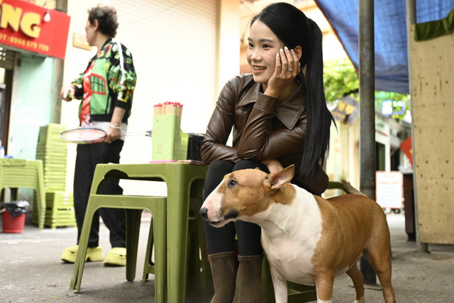 Cam thường bắt cận "thần thái" chú chó giống hệt Cậu Vàng (Mr. Gold) ngoài đời- Ảnh 9. Cam thường bắt cận "thần thái" chú chó giống hệt Cậu Vàng (Mr. Gold) ngoài đời- Ảnh 9.