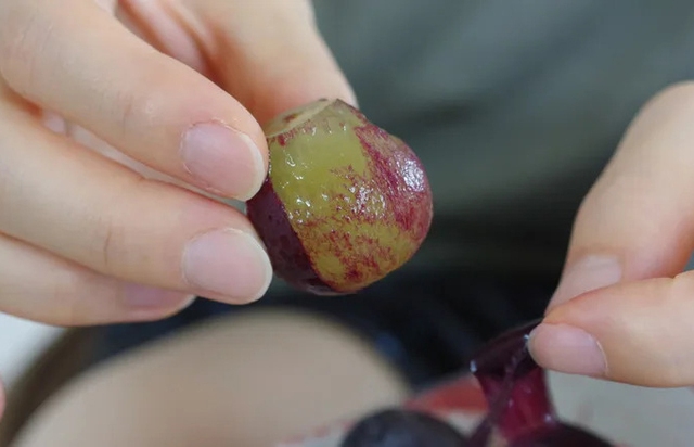 1 mẹo đơn giản trước khi ăn nho làm tăng gấp nhiều lần chất chống oxy hóa, "đánh đuổi" ung thư- Ảnh 1. 1 mẹo đơn giản trước khi ăn nho làm tăng gấp nhiều lần chất chống oxy hóa, "đánh đuổi" ung thư- Ảnh 1.