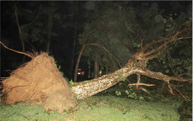 Cảnh tượng đau lòng khi bão số 13 đi qua- Ảnh 12. Cảnh tượng đau lòng khi bão số 13 đi qua- Ảnh 12.