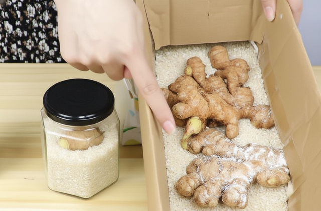 Tôi "tiếc đứt ruột" vì sống đến giờ mới biết 3 mẹo bảo quản gừng nửa năm vẫn tươi ngon, giữ được nhiều dinh dưỡng!- Ảnh 1. Tôi "tiếc đứt ruột" vì sống đến giờ mới biết 3 mẹo bảo quản gừng nửa năm vẫn tươi ngon, giữ được nhiều dinh dưỡng!- Ảnh 1.