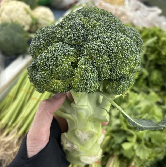 Đến giờ tôi mới biết 2 thứ này trên bông cải xanh chống ung thư gấp 100 lần phần bông! "Tiếc hùi hụi" vì toàn vứt bỏ- Ảnh 1. Đến giờ tôi mới biết 2 thứ này trên bông cải xanh chống ung thư gấp 100 lần phần bông! "Tiếc hùi hụi" vì toàn vứt bỏ- Ảnh 1.