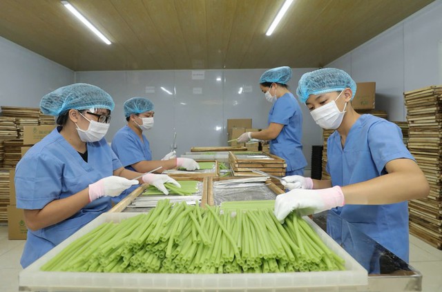 Sản phẩm của nông dân Việt giải được bài toán hóc búa, khiến người Đức "ngạc nhiên", chuyên gia yêu thích- Ảnh 1. Sản phẩm của nông dân Việt giải được bài toán hóc búa, khiến người Đức "ngạc nhiên", chuyên gia yêu thích- Ảnh 1.